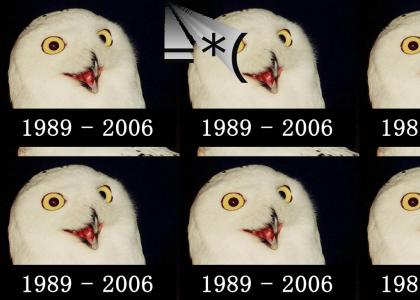 the real O RLY owl died