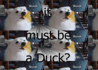 If it quacks like a Duck...