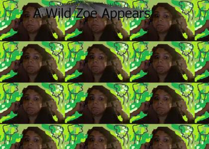 A Wild Zoe Appears!