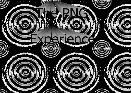 The PNG Experience