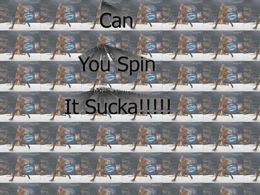 Can-you-spin-it