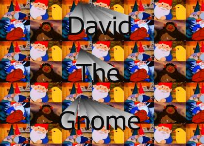 David The Gnome