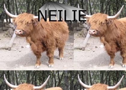 Neilie