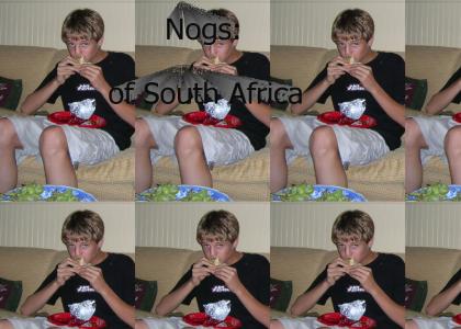 Nogs: of south africa