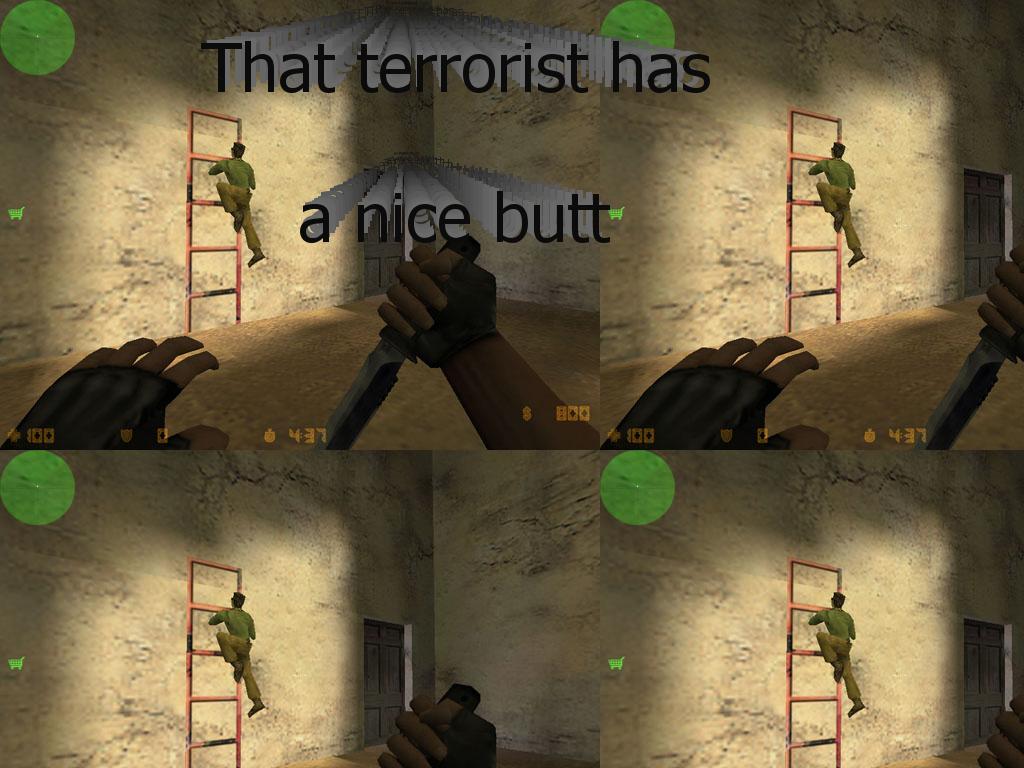 nicebuttterrorist