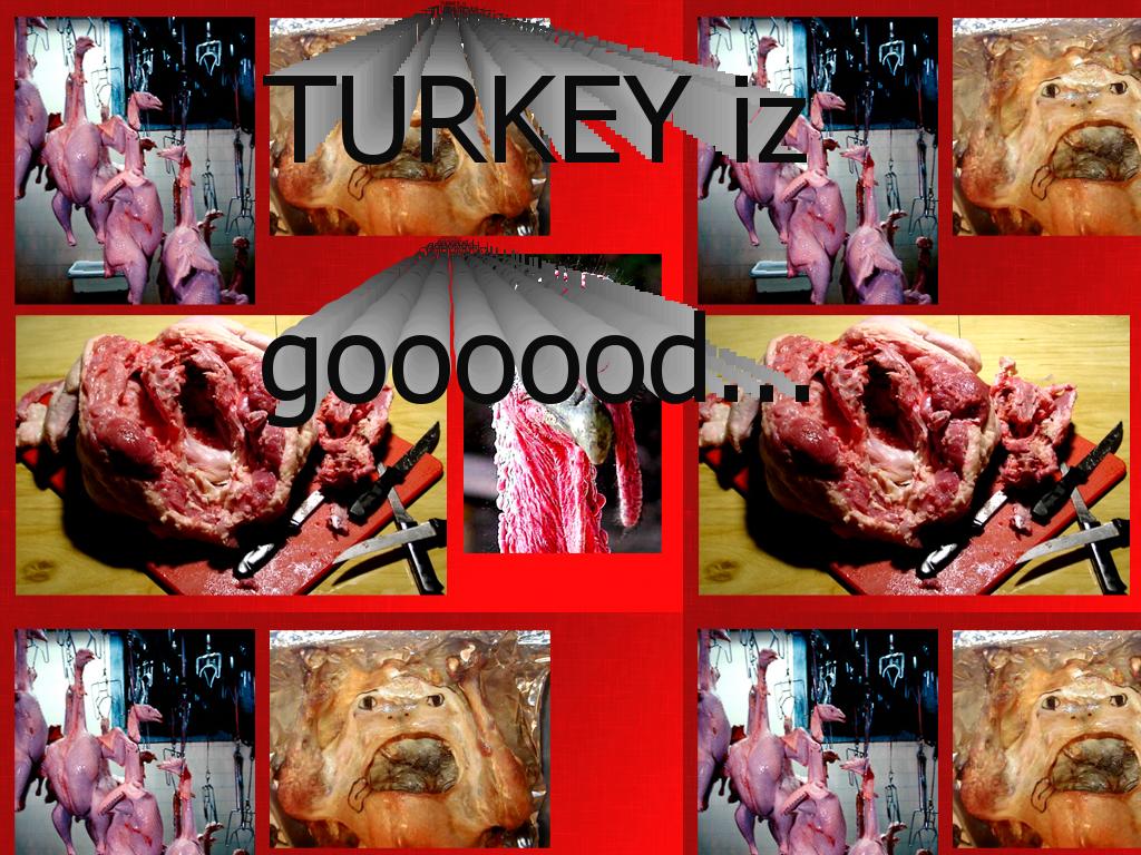 turkey4yourmom