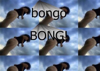 bongo BONG!