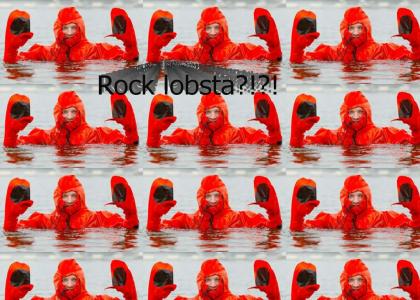 The real rock lobster (NOT Family Guy)