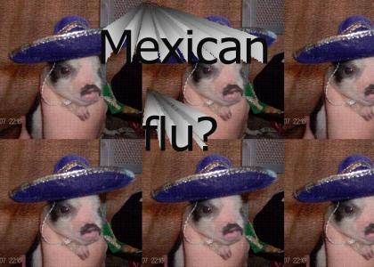 Swine flu  has Mexican origin