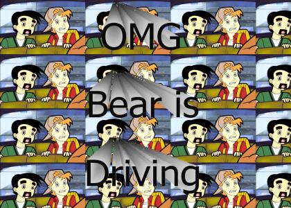 OMG bear is driving!