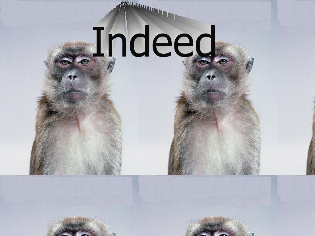 Indeeed