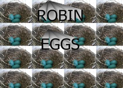 Robin eggs.