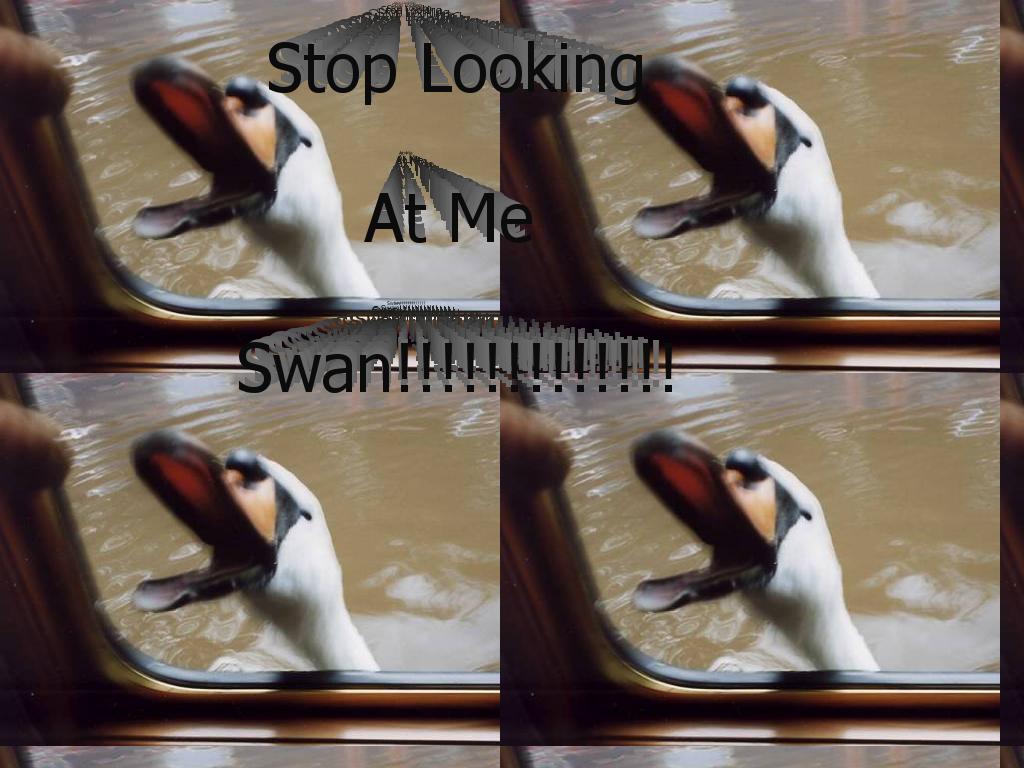 stoplookingatmeswan