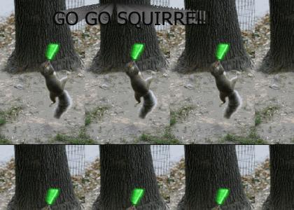 GO GO SQUIRREL!