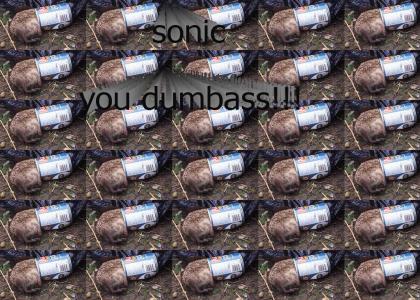sonic you  is a stupid animal