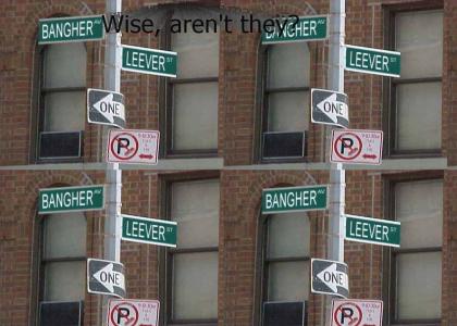 Love advice told by 2 wise street signs