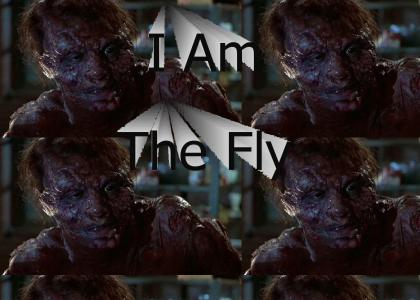 He is the fly