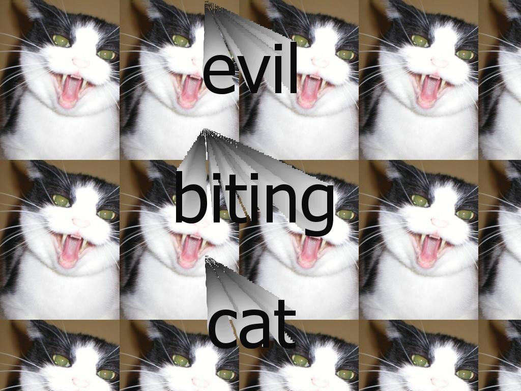 evilbitingcat