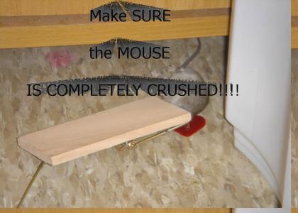 Mouse Crushed