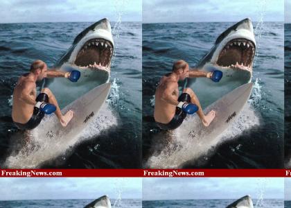 Epic Shark Fight