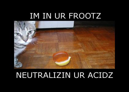 IM IN UR FROOTZ