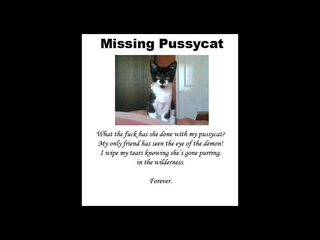 missingpussycat