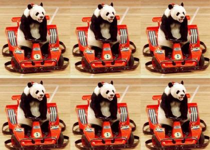 lol, Panda Rides Go Kart