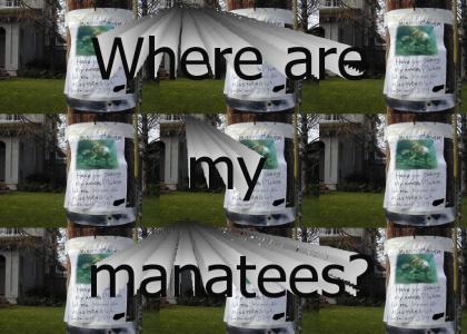 Where are my manatees?