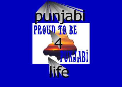 the punjabi pride