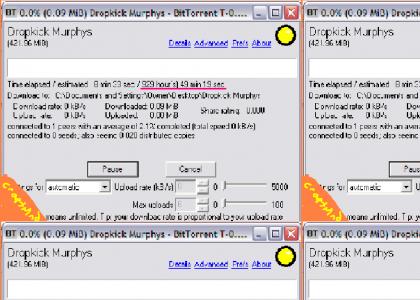 CRAPTMND: I can't download a torrent