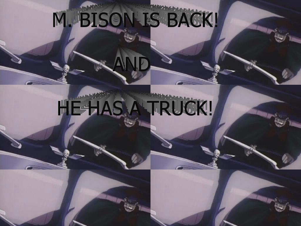 BisonHasATruck