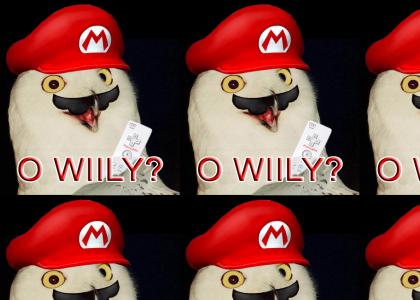 O Wiily?