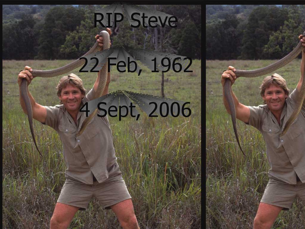 RIPsteveERwin