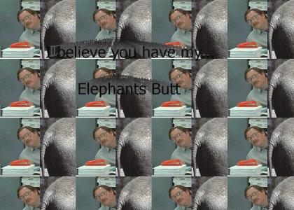 I believe you have my elephant's butt