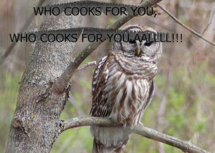 WHO COOKS FOR YOU