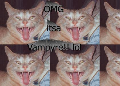 Vampire Cat