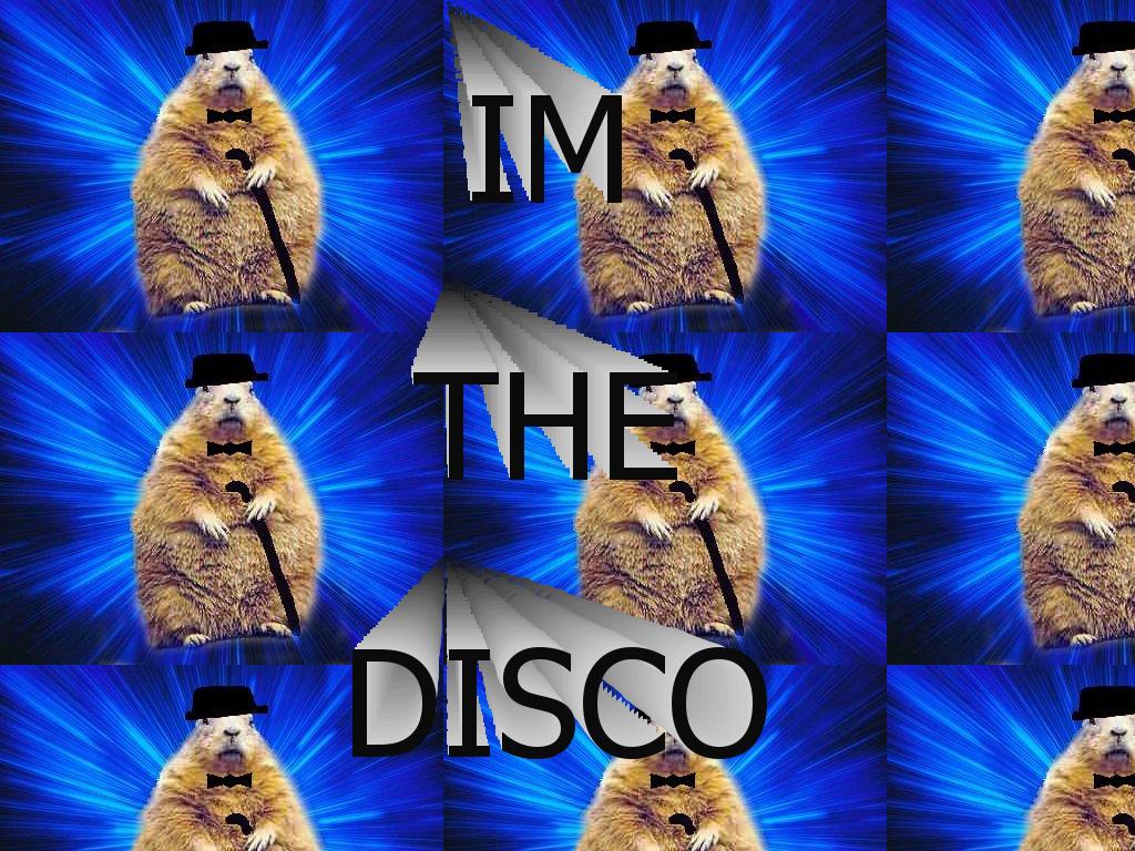 discohamster