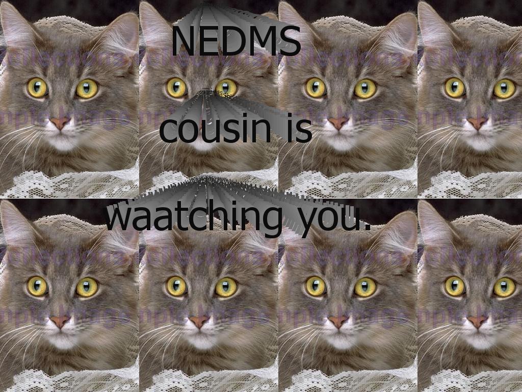 NEDMScousin