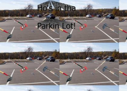 There's What In The Parkin Lot?