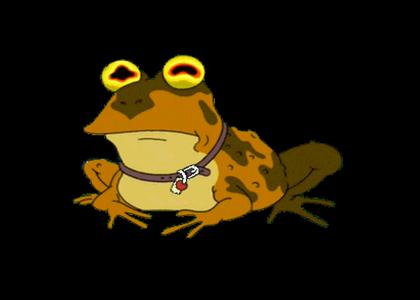 Late Night with the Hypnotoad