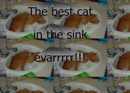 Another cat in the sink