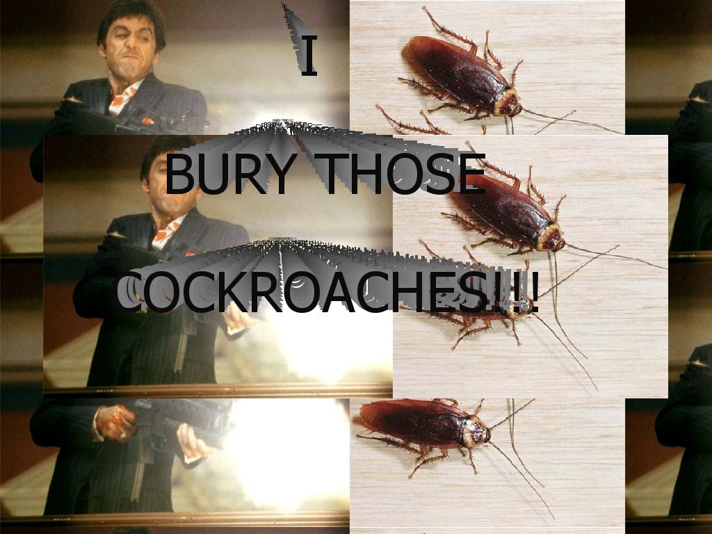 iburythosecockroaches