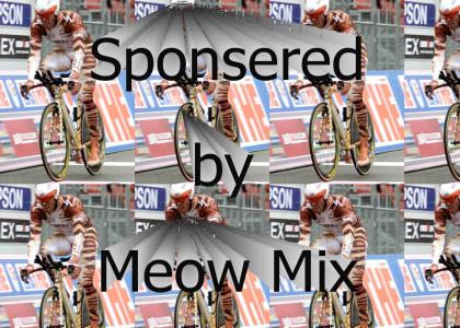 racing for meow mix