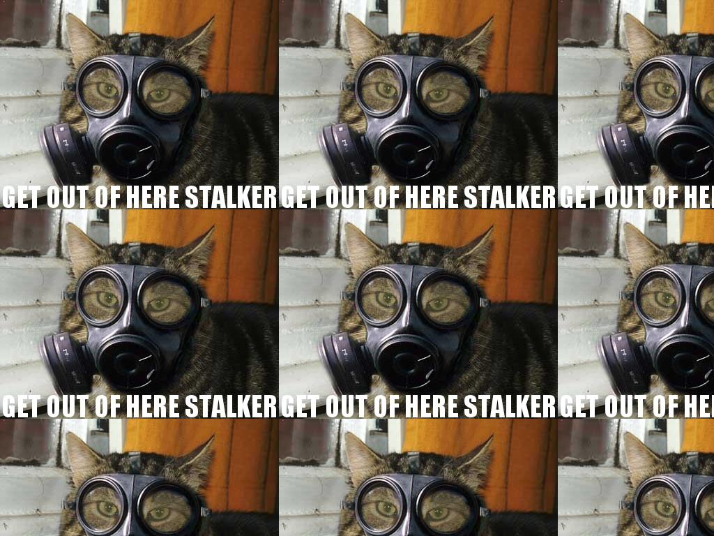 getoutofherestalker