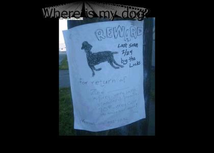 Where is my dog?