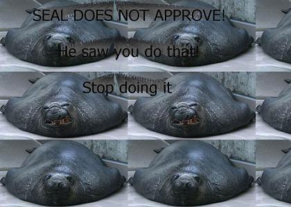 Seal does not approve