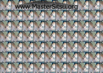 MasterSitsu and friends