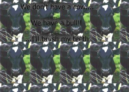 Milk a Bull
