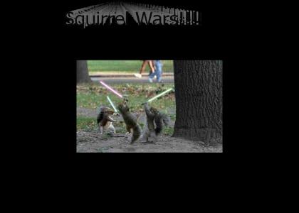Squirrel Wars