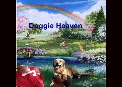 Doggie Heaven